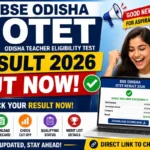 BSE Odisha OTET Result 2026